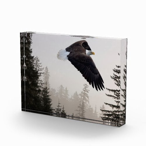 Bald Eagle Soaring Through Mist Photo Block