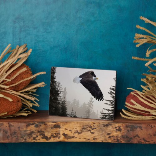 Bald Eagle Soaring Through Mist Plaque