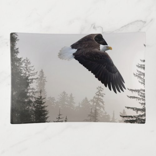 Bald Eagle Soaring Through Mist Trinket Tray