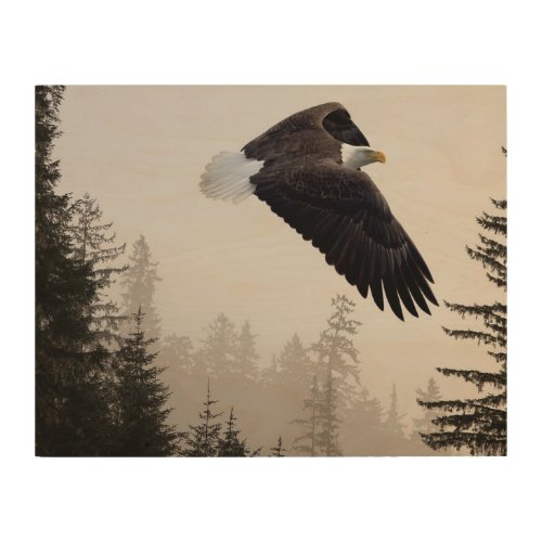 Bald Eagle Soaring Through Mist Wood Wall Art