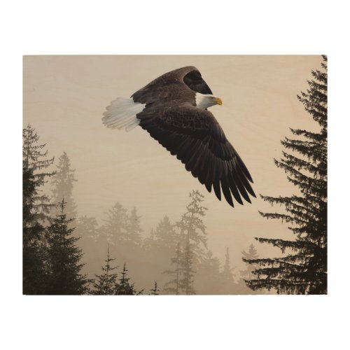 Bald Eagle Soaring Through Mist Wood Wall Art