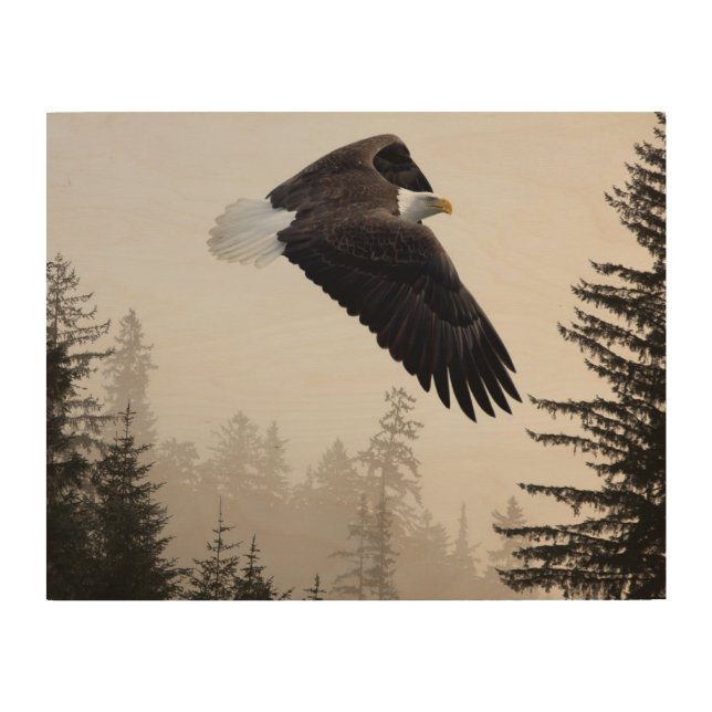 Bald Eagle Soaring Through Mist Wood Wall Art (Front)