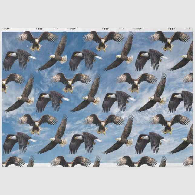 Bald Eagle Soaring Tissue Paper (Front)