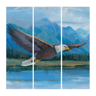 Bald Eagle Soaring Triptych