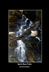 eagle spirit art wall