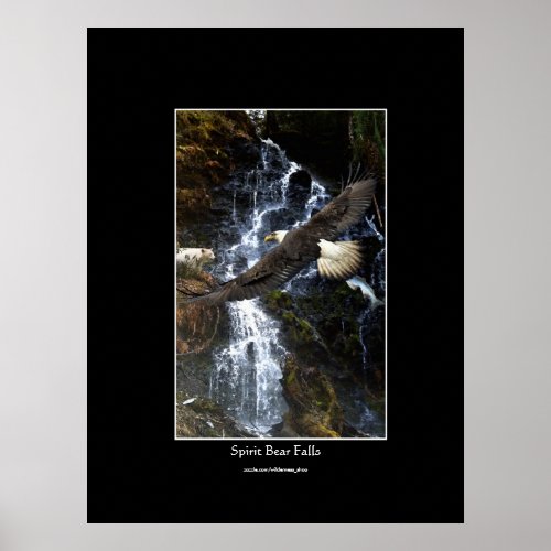 Bald Eagle Spirit Bear  Water Fall Art Poster