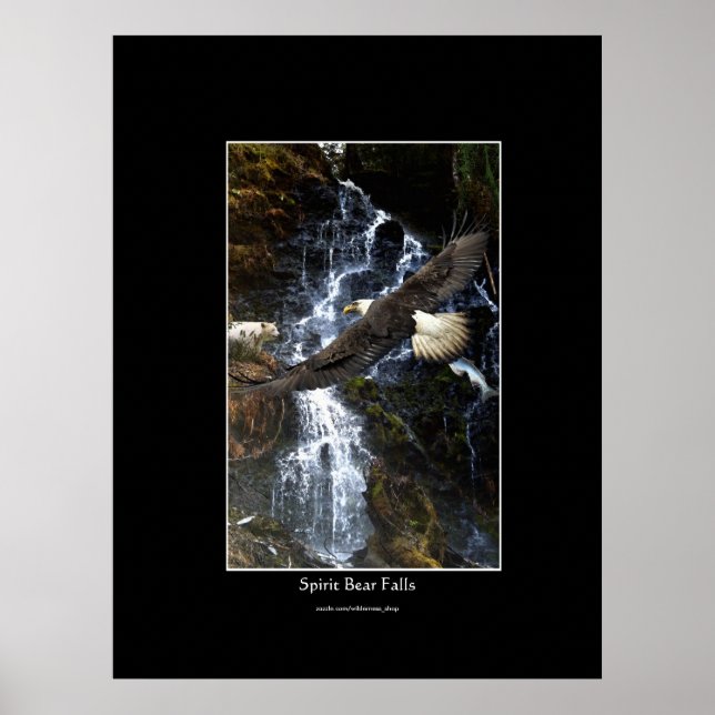 Bald Eagle, Spirit Bear & Water Fall Art Poster (Front)