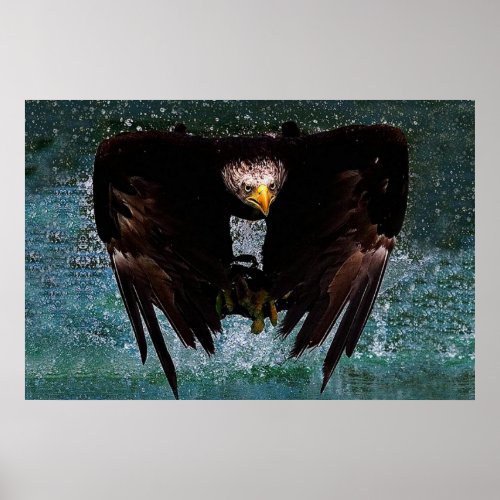 Bald Eagle splash poster