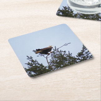 Bald Eagle Square Paper Coaster