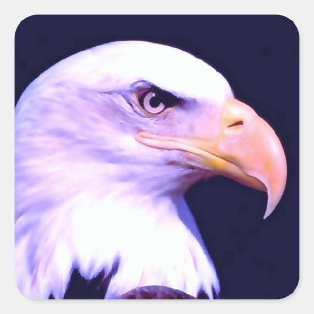 Bald Eagle Square Sticker (Front)