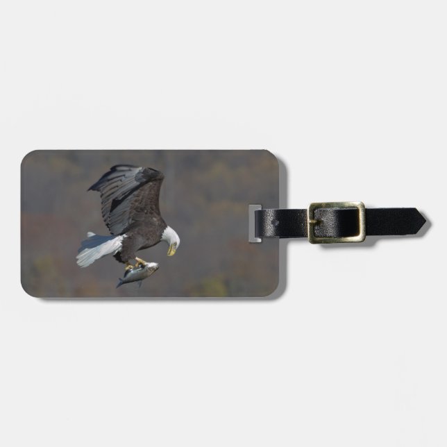 Bald Eagle staring at a fish Luggage Tag (Front Horizontal)