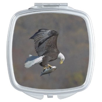 Bald Eagle Staring At A Fish Mirror For Makeup by debscreative at Zazzle