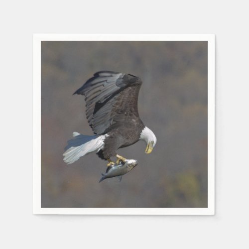 Bald Eagle staring at a fish Napkins