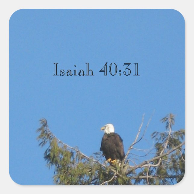 Bald Eagle Sticker (Front)