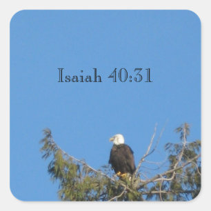 Bald Eagle Sticker
