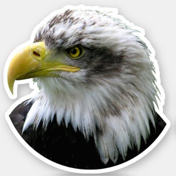 Bald Eagle Sticker by tjustleft at Zazzle