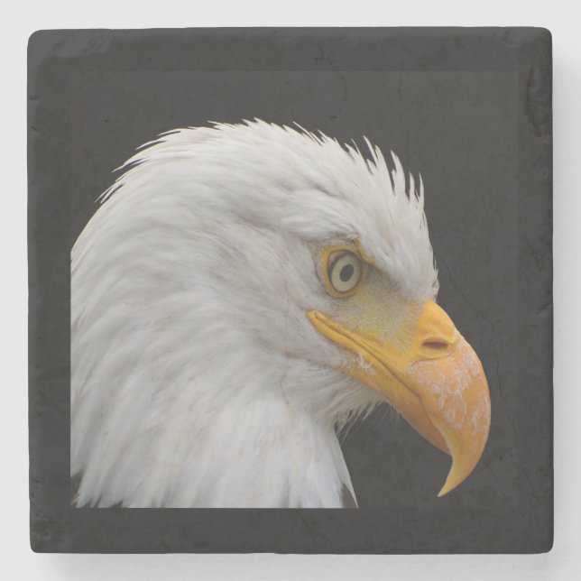 Bald Eagle Stone Coaster (Front)