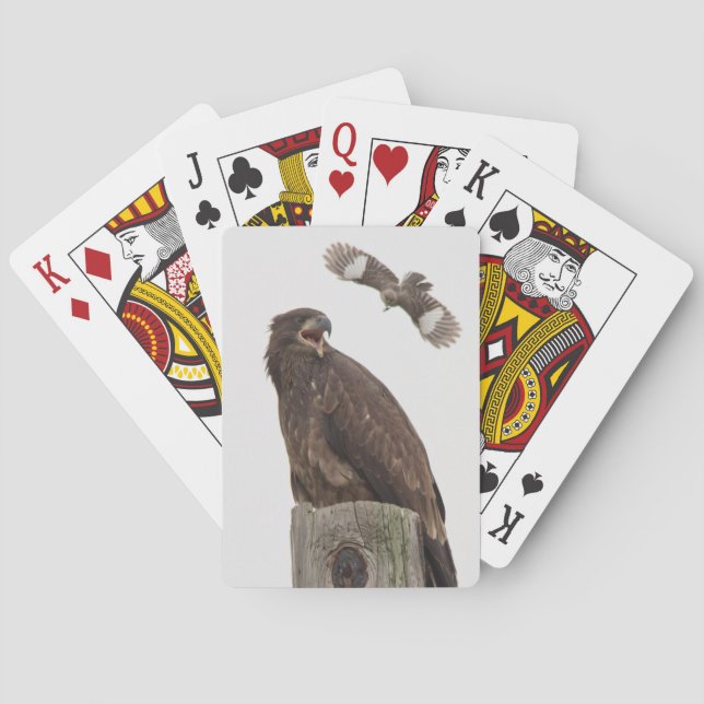 Bald Eagle (Stop body slamming me) Poker Cards (Back)
