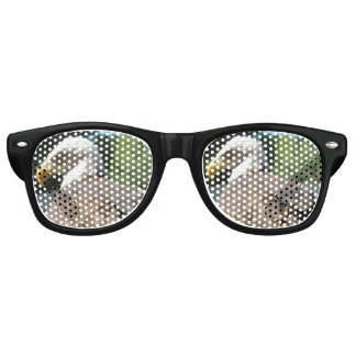 Bald Eagle Sunglasses