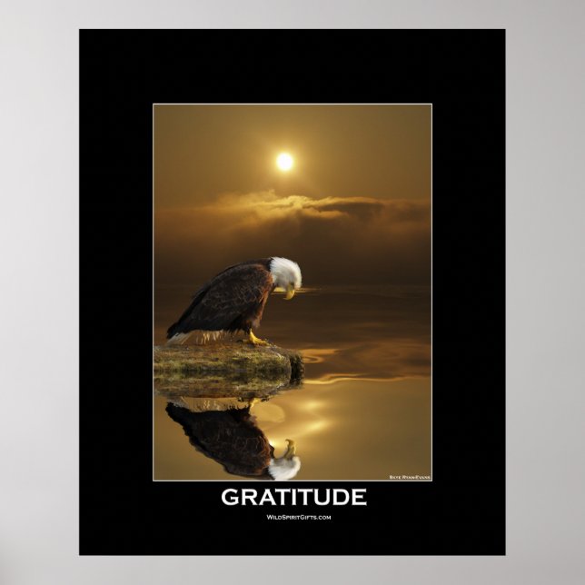Bald Eagle & Sunlight Poster (Front)