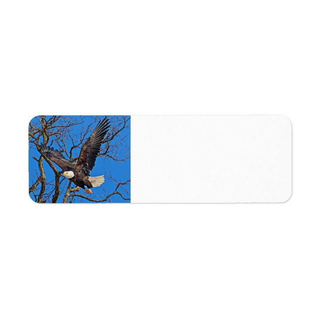 Bald Eagle taking flight Label (Front)