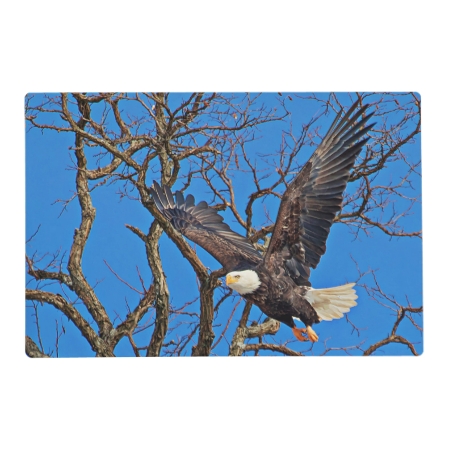 Bald Eagle Taking Flight Placemat