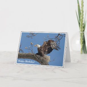 Bald Eagle taking off Card