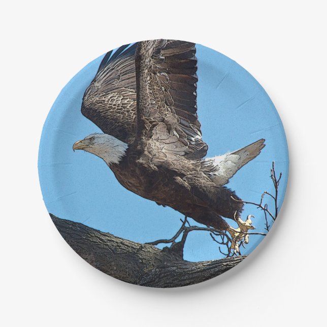 Bald Eagle taking off Paper Plates (Front)