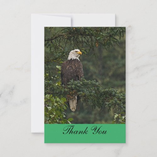 Bald Eagle Thank You Card