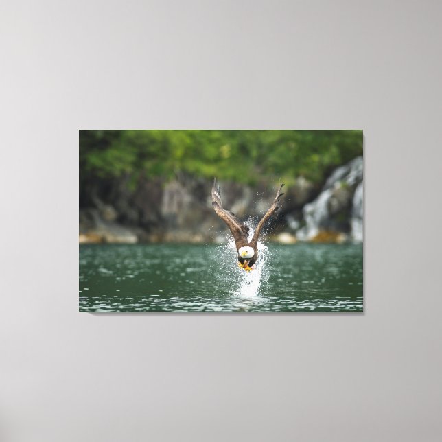 Bald Eagle The Big Catch Canvas Print (Front)