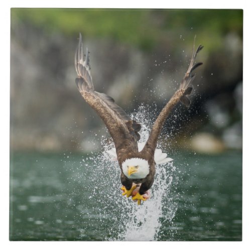 Bald Eagle The Big Catch Ceramic Tile