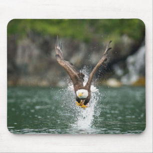 Bald Eagle The Big Catch Mouse Pad