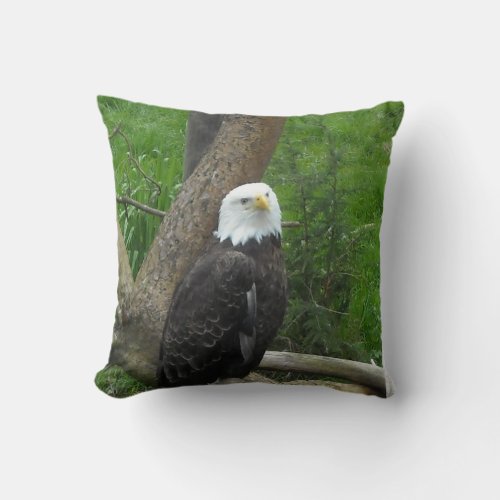 Bald Eagle Throw Pillow