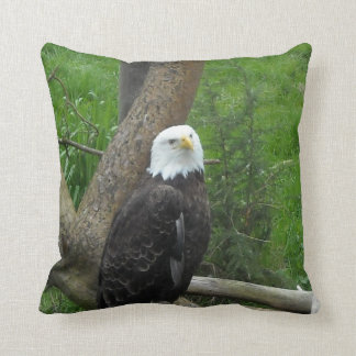 Bald Eagle Throw Pillow