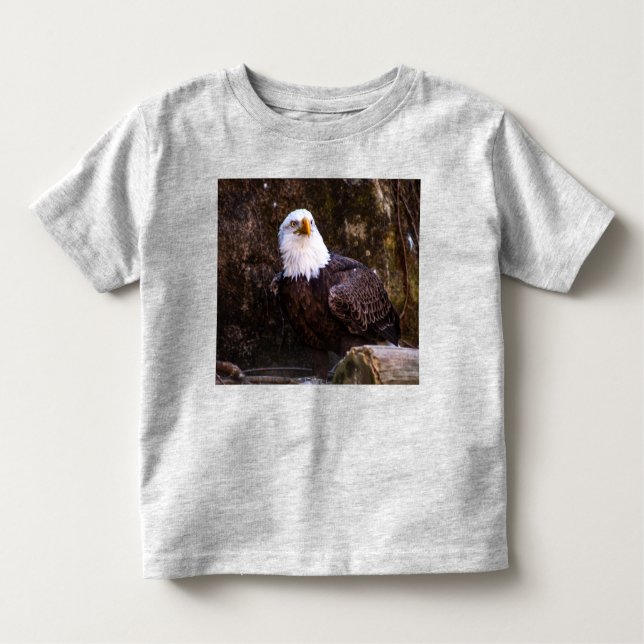 Bald Eagle Toddler T-Shirt (Front)