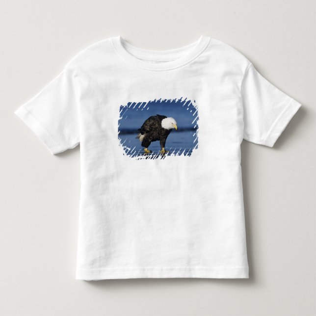 Bald Eagle Toddler T-shirt (Front)