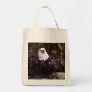Bald Eagle Tote Bag