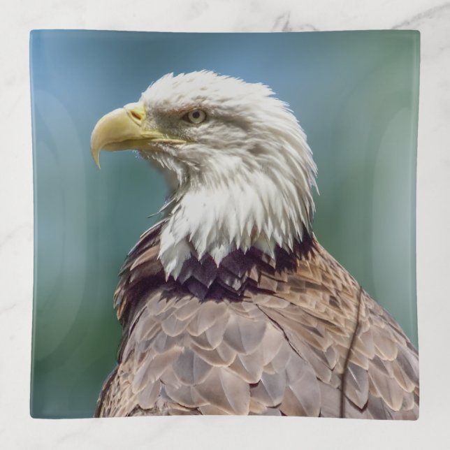Bald Eagle Trinket Tray (Front)