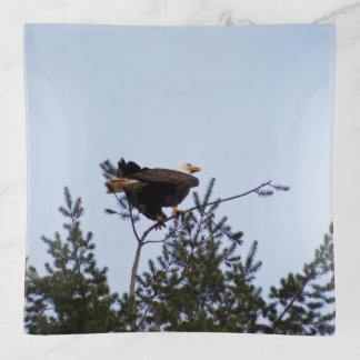 Bald Eagle Trinket Tray