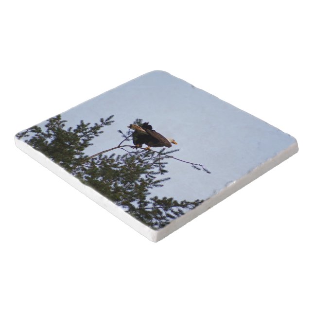 Bald Eagle Trivet (Corner)