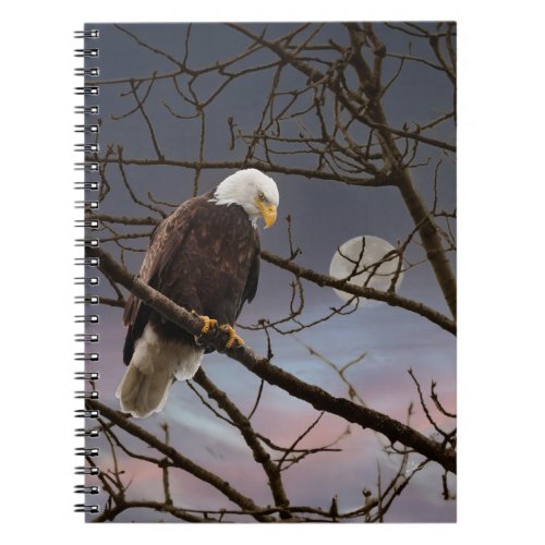 Bald Eagle Under Full Moon at Sunset Notebook