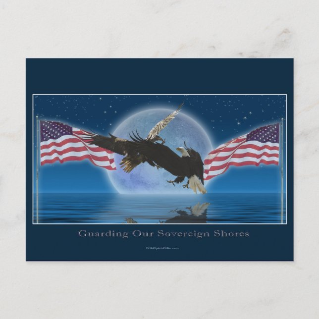 BALD EAGLE & US FLAG Patriot Series Postcard (Front)