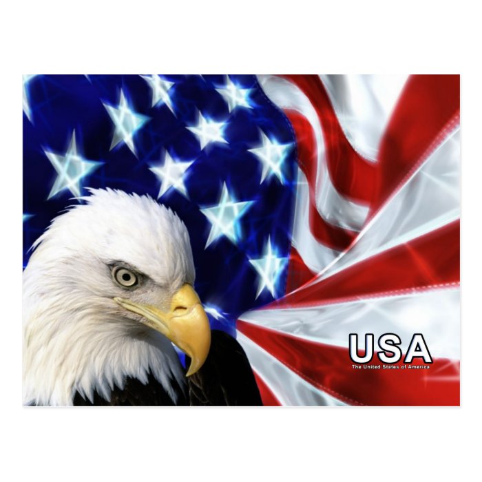 Bald Eagle   USA Flag Post Cards