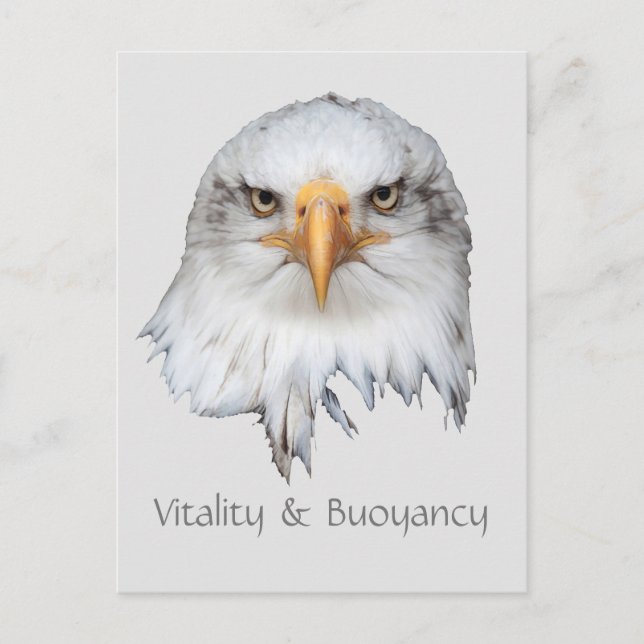 Bald Eagle Vitality & Buoyancy customizable Postcard (Front)