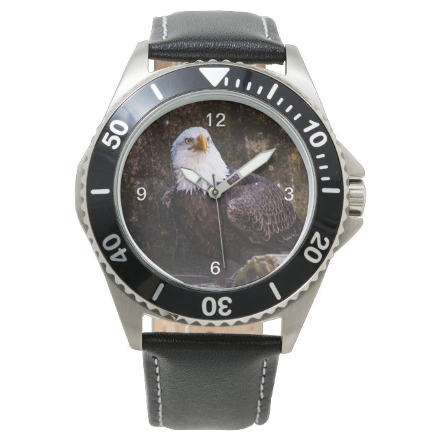 Bald Eagle Watch (Front)