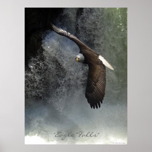 Bald Eagle  Waterfall Poster