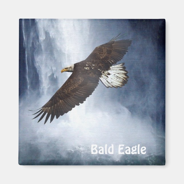 Bald Eagle & Waterfall Wildlife Nature Magnet (Front)