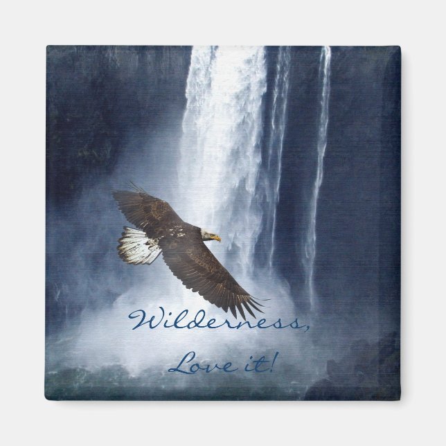 Bald Eagle & Waterfall Wildlife Nature Magnet (Front)