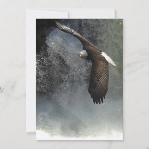 Bald Eagle & Waterfalls Invitation Cards