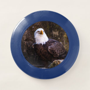Bald Eagle Wham-O Frisbee